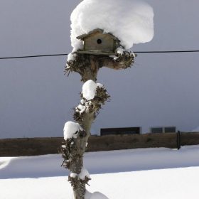 Haus für Musik