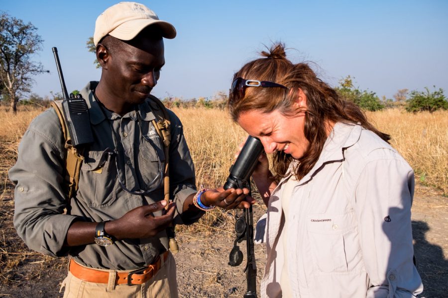 safari africa